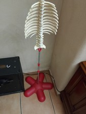  il Corpo Umano tutti i numeri