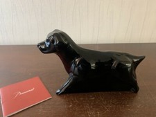 Cane Labrador Nero In