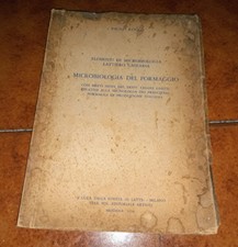 Paolo renko cesare ghitti - paolo,
