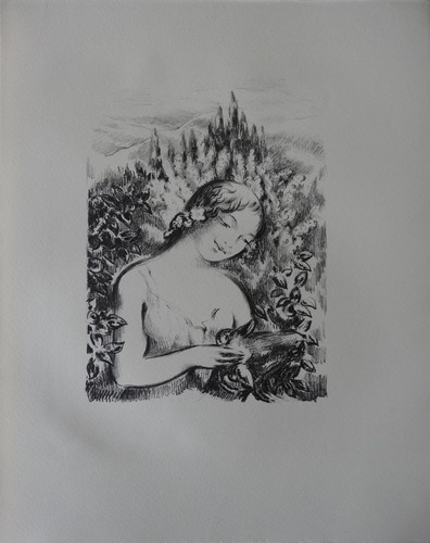 René piot douce bergère - piot, :