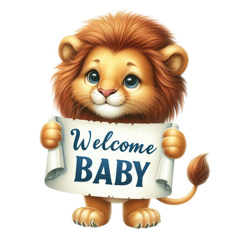 Adesivi auto welcome - 8,