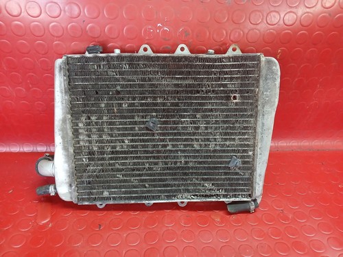 Radiatore acqua gilera gp800 - radiatore,