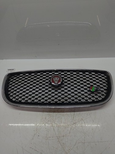Griglia radiatore per jaguar - radiatore,