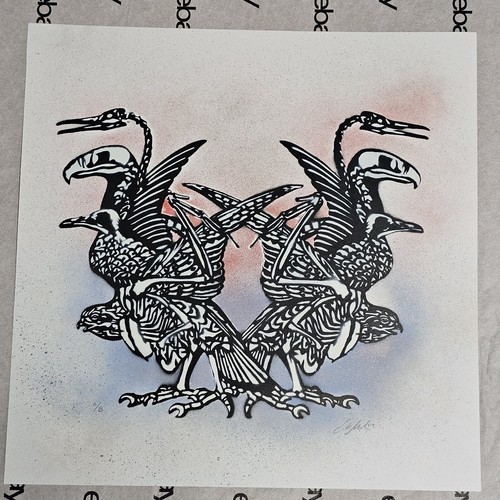Muerte aviar pattern - aviar,