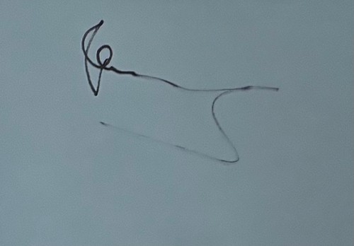 Signed autograph book page - signed,