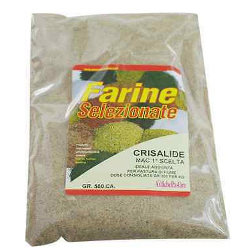 Crisalide macinata farina - crisalide,