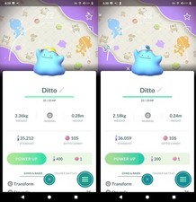 Shiny Ditto Special Background