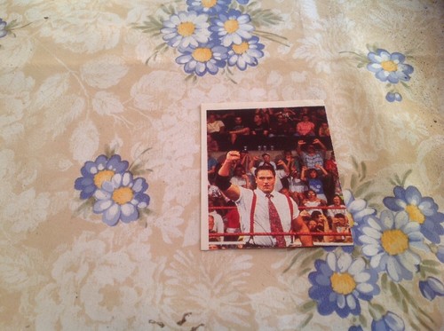Figurina world wrestling - ,