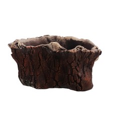  Vasetti Per Piante Grasse