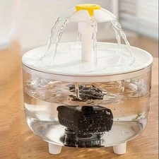 Fontana Per Gatti Automatica
