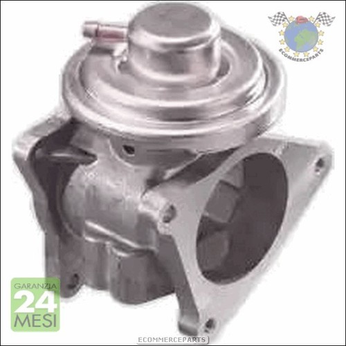 Valvola egr meat - meat, vw