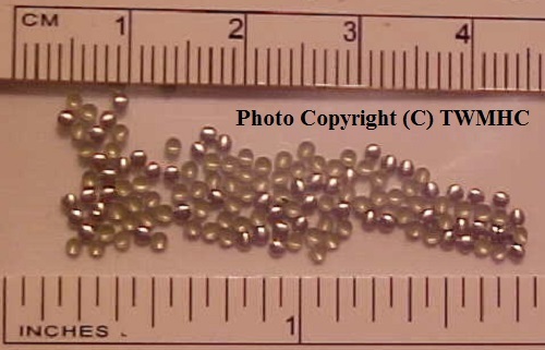 Teste chiodate rotonde 5mm - teste,
