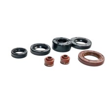 Anello Paraolio Set 140 Ccm per Dirt Bike Pit Moto Cross Stomp Yx Motore HMParts