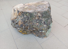 TRONCO IN LEGNO D'ULIVO
