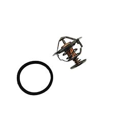 Termostato 76° adatto per