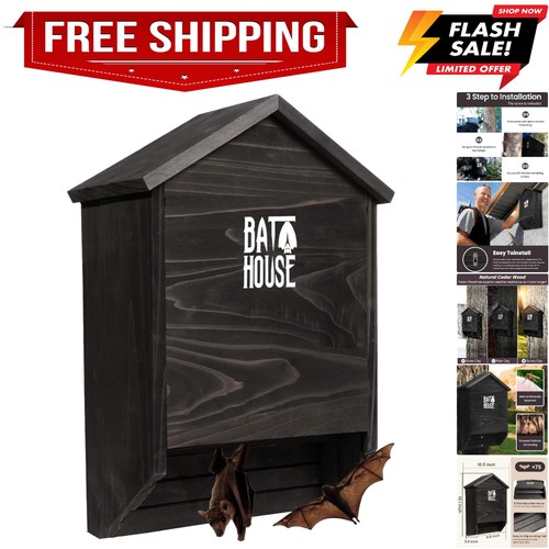 Bat houses for outdoors - bat,