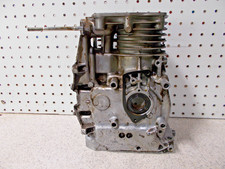 Gruppo carter motore/cilindro