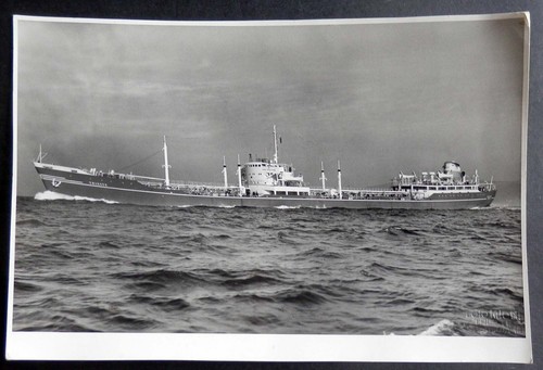 Marina nave trieste - ,