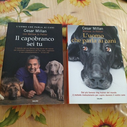 Uomo che parla cani il - ai,