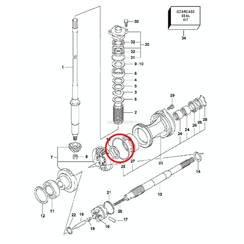 Ring piede evinrude johnson - o-ring,