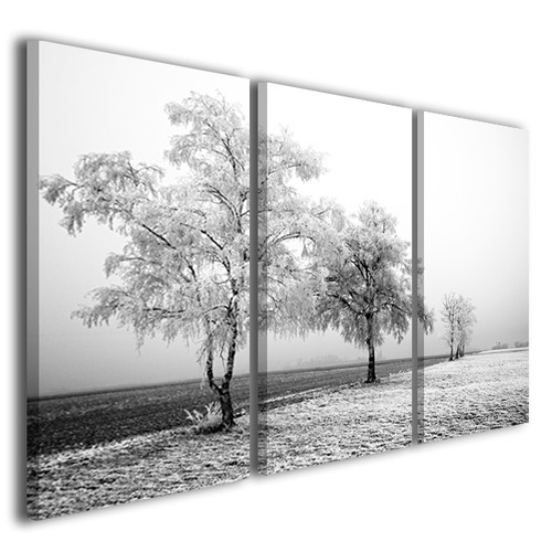 Quadri moderni neve - , frozen