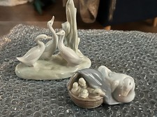 Gruppo di anatre modello