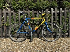 BICICLETTA RALEIGH MOUNTAIN BIKE TEAM BIKE BIKE - COME NUOVA ESEMPLARE - CERCHI 26" - 12 VELOCITÀ