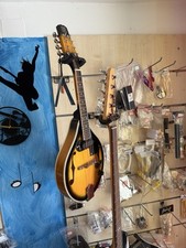 Mandolino Elettrificato Stagg Con Custodia