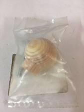 Pomello pomolo in legno x