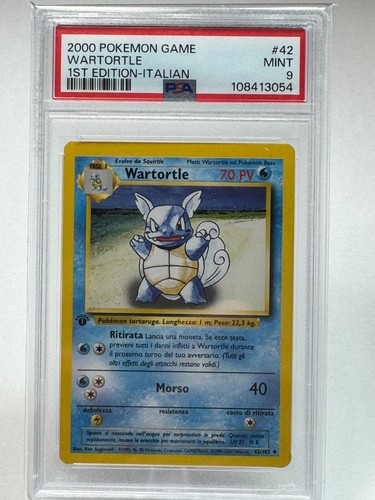 Pokémon wartortle set base - pokémon,