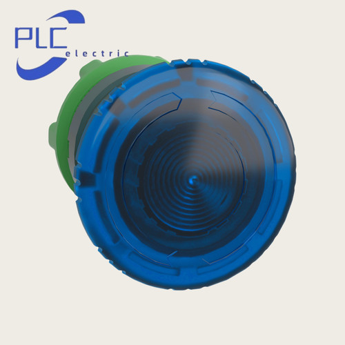 Testa pulsante fungo blu - fungo,