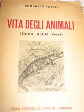 ROMUALDO NATOLI - VITA DEGLI