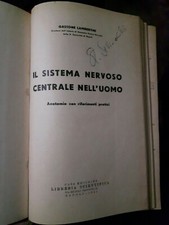Lambertini IL SISTEMA NERVOSO