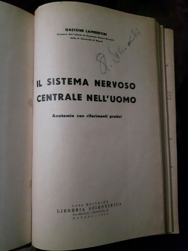 Lambertini sistema nervoso - lambertini,