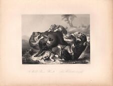 Stampa antica CACCIA AL