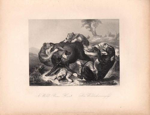Stampa antica caccia - caccia, al