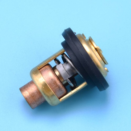 Termostato motore con anello