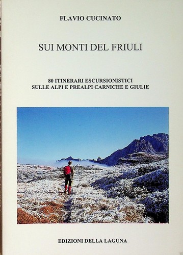 Sui monti del friuli 80 - monti,