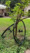 ruote mtb 29