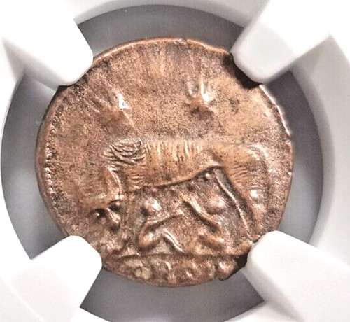 Gemelli lupo costantiniani ngc - costantiniani,