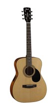 Chitarra acustica amplificata - acustica,