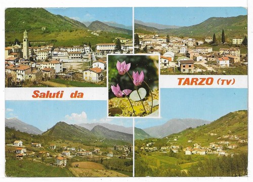 Treviso saluti da - treviso,