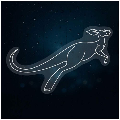 Jumping kangaroo - 'jumping, kangaroo'
