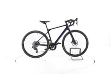 Canyon Endurace CF 7 AXS Bici