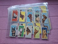 COMPLETE SET - MOLASSINE -