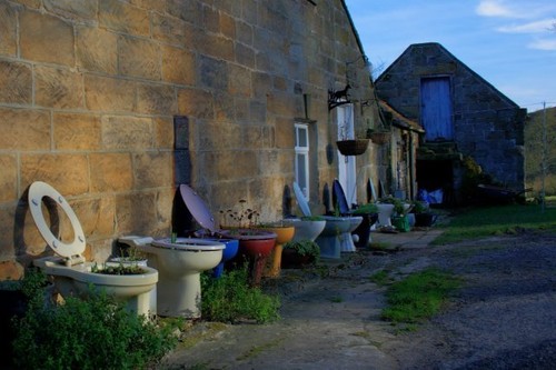 Photo 6x4 collection loos - collection,