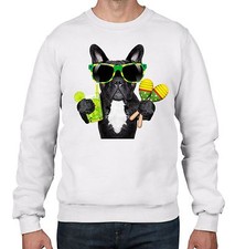 Bulldog Francese Brazillian