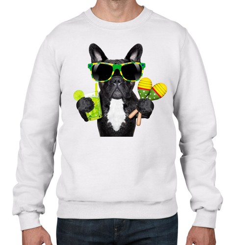 Bulldog francese brazillian - bulldog,