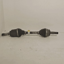 51839650 Semialbero ant
