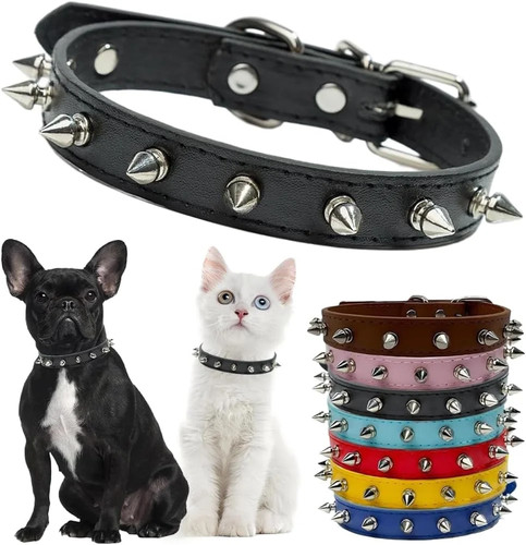Collare per cani punta - collare,